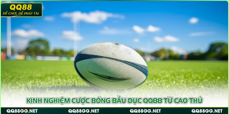 Kinh nghiệm cược bóng bầu dục QQ88 từ cao thủ