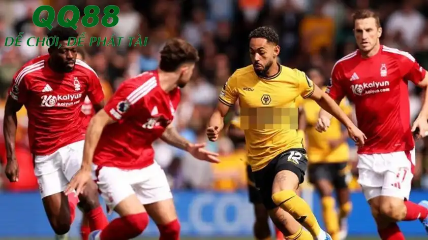 Nottingham Forest sẽ có trận đấu không hề dễ dàng trước Wolves. (Ảnh: Internet) Nottingham Forest sẽ có trận đấu không hề dễ dàng trước Wolves. (Ảnh: Internet)