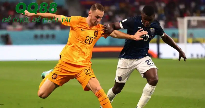 Cuộc đối đầu giữa Hà Lan và Ecuador sẽ rất hấp dẫn. (Ảnh: Internet) Cuộc đối đầu giữa Hà Lan và Ecuador sẽ rất hấp dẫn. (Ảnh: Internet)